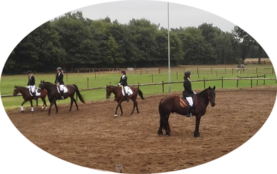 Dressuurwedstrijd Blue Stables